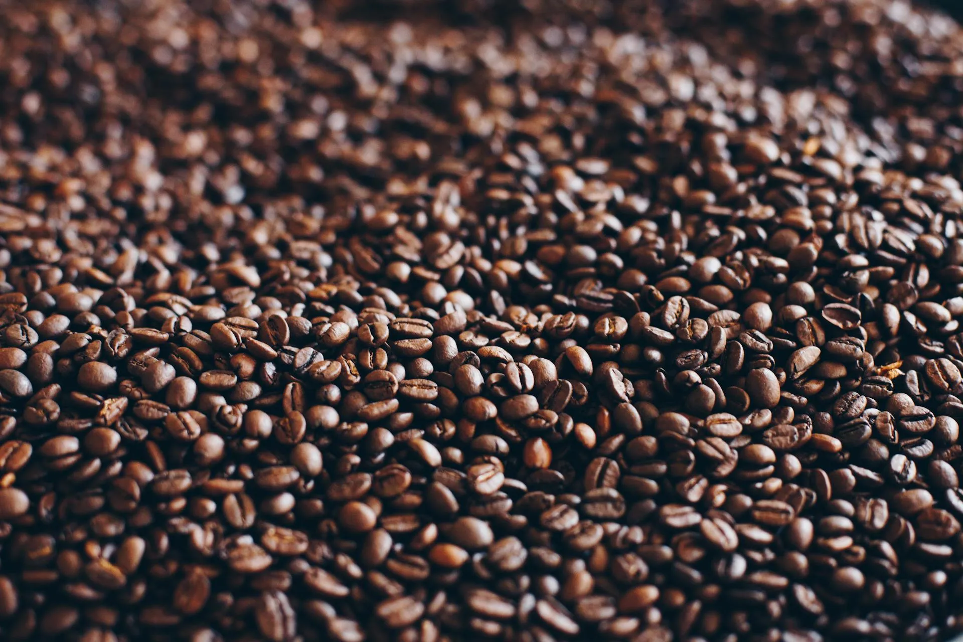 The Cluj Coffee Circuit